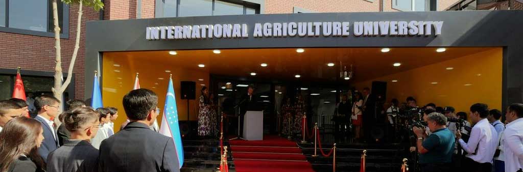 IAU entrance