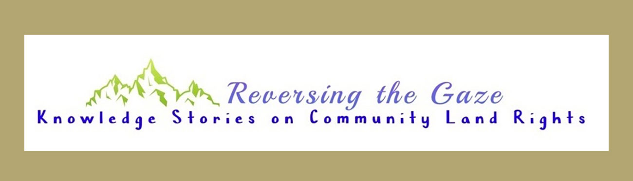 reversing the gaze logo